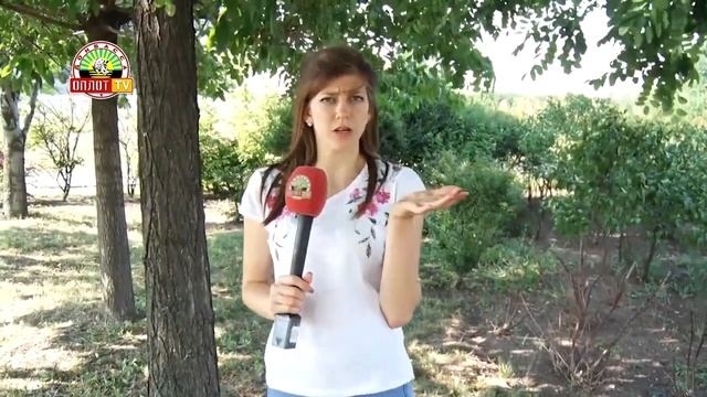 «По следам истории» Парк Ленинского комсомола