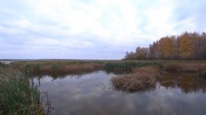 Ловля на Daiwa Bait Junkie