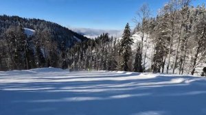 Красная поляна. ГЛК Роза Хутор. Трасса Сторожка(красная) полный проезд. 10.01.2024