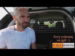 Прямой эфир. Поле подсолнухов