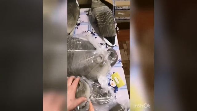 Плавающие чучела гуся Soft Plast 3D