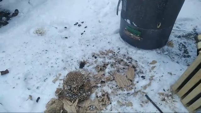 Колода-ловушка* что накуралесили шершни!!! смотреть онлайн