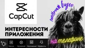 как пользоваться приложением CapCut
