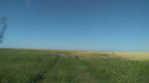 Исчезнувший хутор Чёрная Падина, Озинский район.