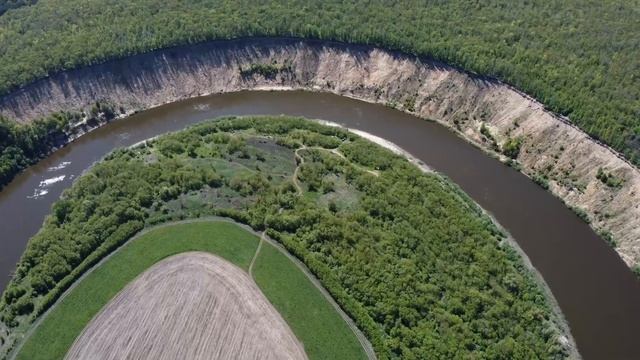 Кривоборье (Воронежская область, Рамонский район, река Дон), май 2022