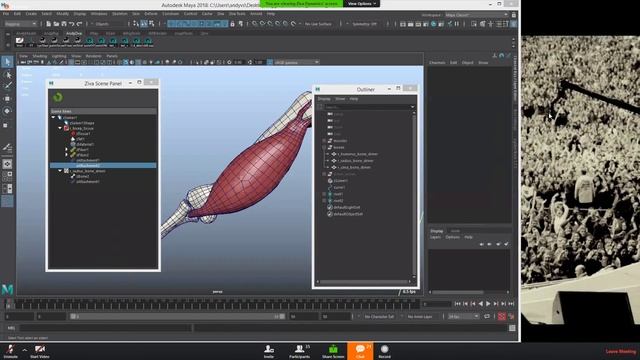 Ziva Dynamics 1 4v introduction to facial setup