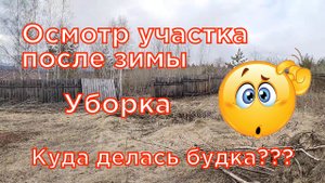 Приобрел заброшенный участок. Осматриваю участок и навожу порядок