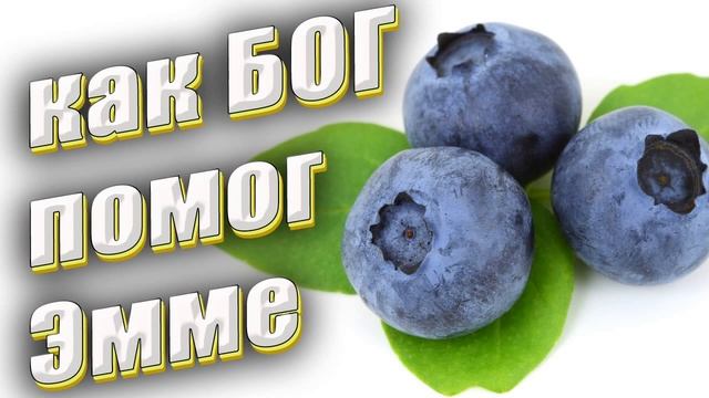 Детские христианские рассказы -"Бог на черничной поляне", интересный рассказ для детей о помощи Бог смотреть онлайн