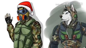 S.T.A.L.K.E.R-гимн свободы