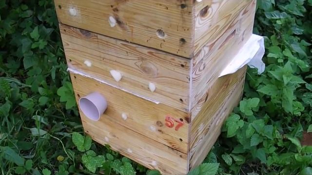 когда формировать отводки пчел на пасеке, весной или летом ? - разные варианты формирования отводков