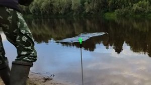 УДАЧНАЯ РЫБАЛКА НА ФИДЕР. Ветлуга, Нижегородская область. #фидер #рыбалка #ветлуга #удачныевыходные