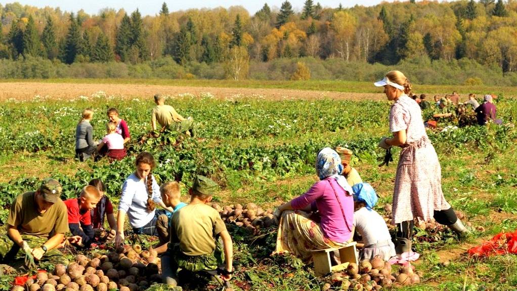 Под гнетом капитализма