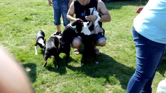 VID 20150808 132401 смотреть онлайн