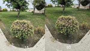 iPhone 15 vs honor 90 camera test
