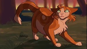 Коты воители. Клип-Розы