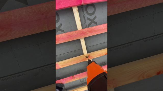 13-06-2024 смотреть онлайн