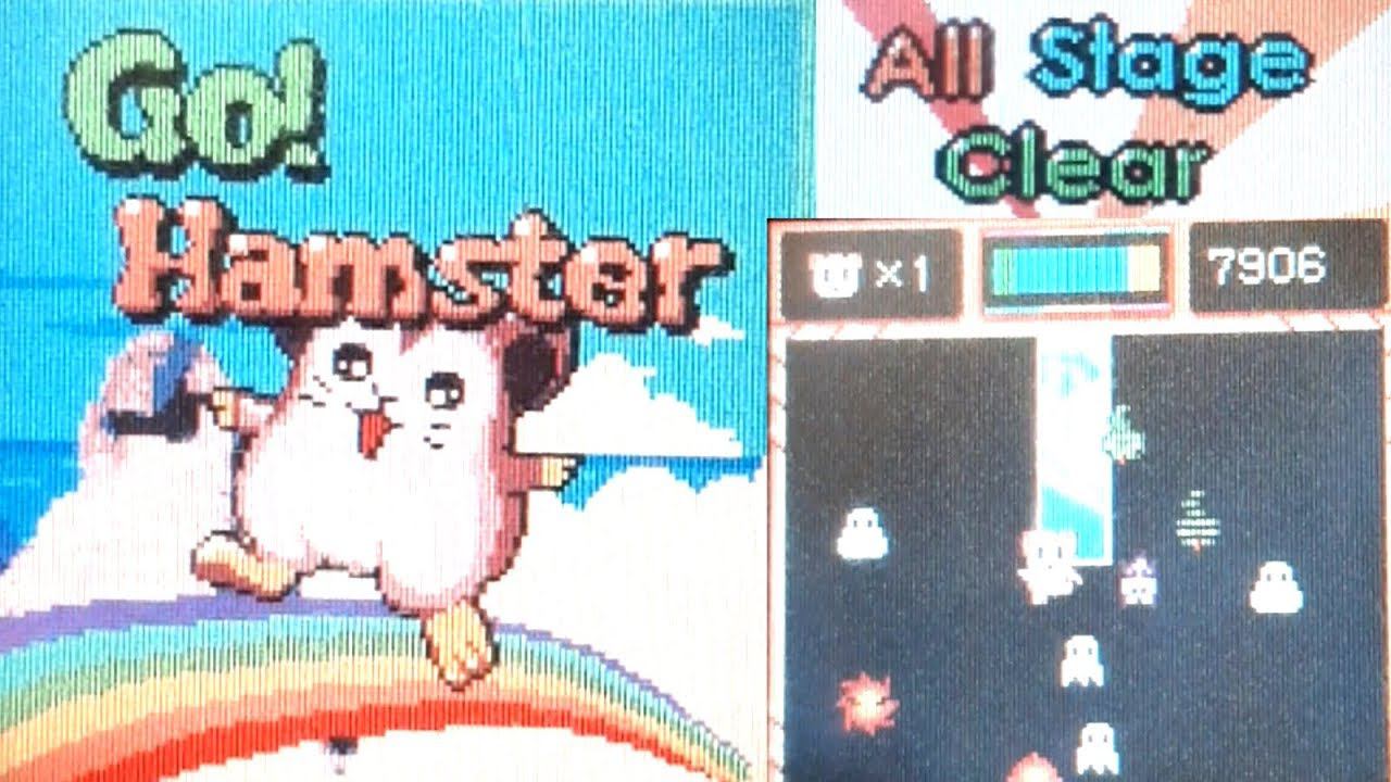 Go! Hamster Samsung SGH-C100 LEGENDARY GAME! FULL WALKTHROUGH!