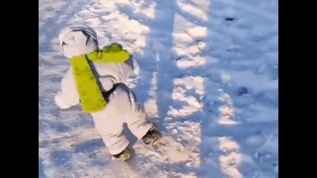 как правильно воровать в магазинах гайд смотреть онлайн