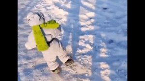 как правильно воровать в магазинах гайд