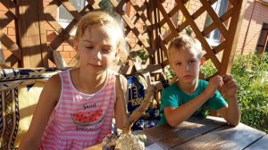 Делаем дерево из ИСЛАНДСКОГО МХА/ЦЕТРАРИИ