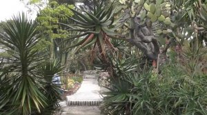 Visiting Villa Ephrussi de Rothschild Gardens