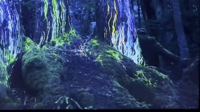 Телевизор Hisense 55U8HQ 2022 год смотреть онлайн