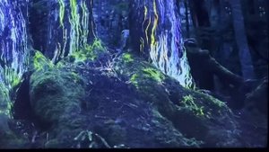 Телевизор Hisense 55U8HQ 2022 год