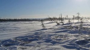 зимник Удское Чумикан 2023 год. на ЗИЛ 131