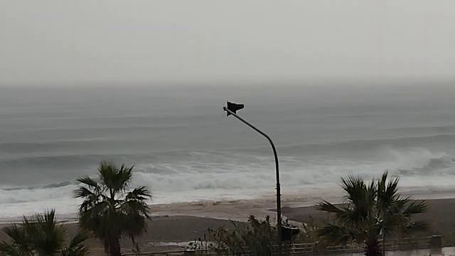 #storm😮😨#sea in winter😮😨🔥#beach#шторм😮😨#море зимой😮😨🔥#пляж#ALANYA#TÜRKİYE💖🇹🇷#video#22.12.23 смотреть онлайн