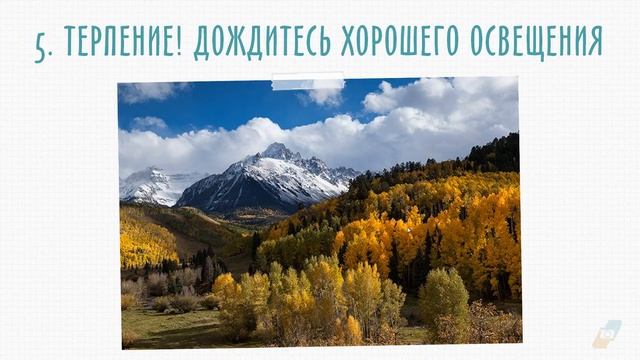 Фотографируем краски осени