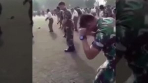 Буй-буй//песня покорила мир