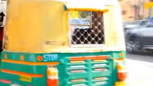 Сумасшедшее транспортное движение Индии