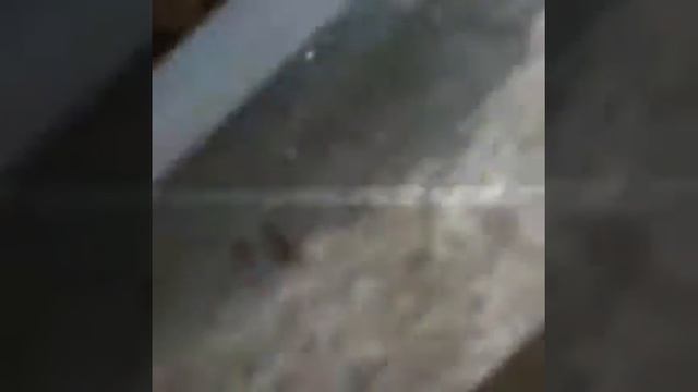 ] ||Oleg kim√||[СОЧИ АДЛЕР АБХАЗИЯ ОЗЕРО РИЦА АВГУСТ ")!:] смотреть онлайн