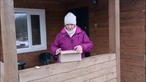 Клубника вертка в торфе по пять штук!