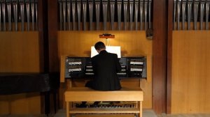 Д.Д. Шостакович Анданте из Второго фортепианного концерта (транскрипция для органа)/В. Королевский