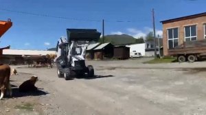 Экскаватор Погрузчик BORUS BR 840