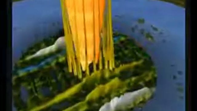 Плоская или Круглая Земля  Ведический взгляд 2