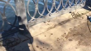 Криминал в Москве, Поисковый магнит снова вытащил Пистолет