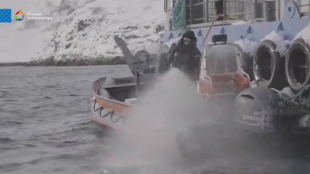 Арктическая аквакультура