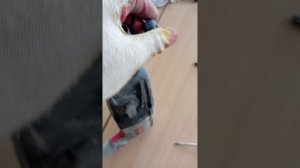 Как вытащил сломанный бур из перфоратора.