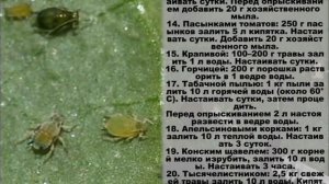 Как избавиться от ТЛИ 100% результат. ТЛЯ вы ИЗБАВИТЕСЬ от нее НАВСЕГДА
