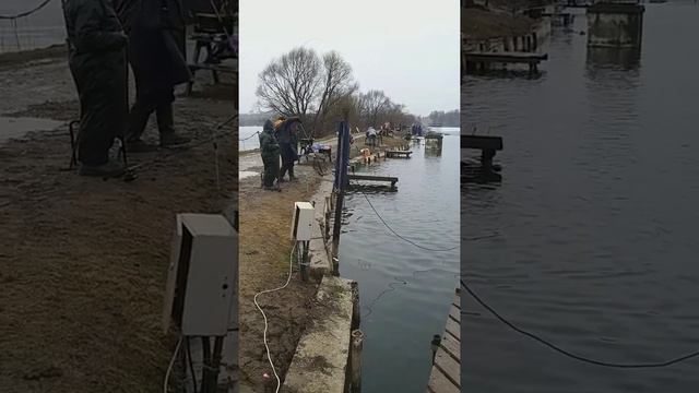 рыбалка рыбалка в подмосковье форель ловля форели суперкарп белеутово fishing trout troutfishing