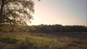 Сын остался без квартиры, теперь винит нас с отцом - не отговорили, не уберегли. А мы предупреждали