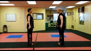 Cobra Kai Training