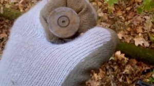 Древнии находки по скифам и КР в Маяцком лесу.