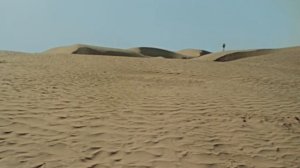 Письмо бесценной Катерине Матвеевне