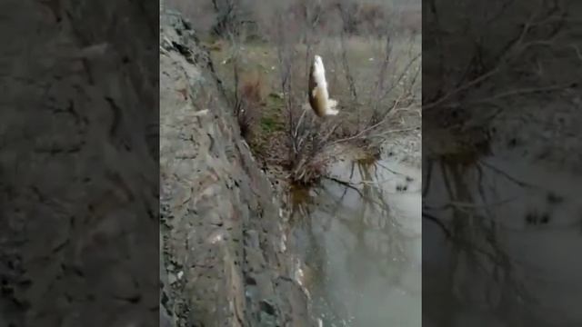 Город Жанатас
Жамбылская область