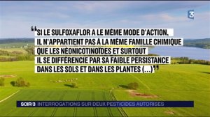  La France vient d'autoriser l'utilisation du deux insecticides dangereux pour les abeilles