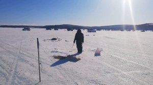 Рыбалка Де-Кастри февраль 2020!!навага Де-Кастри!!! Корюшка Де-Кастри!!!