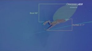 (Мегалодон) Белая акула Субмарина - доказательства существования